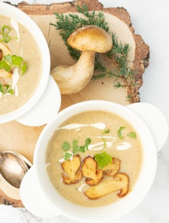 Суп-пюре из белых грибов
