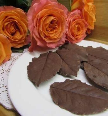 Листочки из шоколада для оформления тортов и пирожных