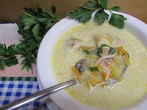 Куриный суп с шампиньонами и творожным сыром