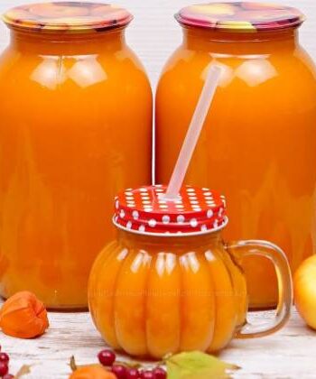Домашний тыквенно яблочный сок с мякотью на зиму с апельсином