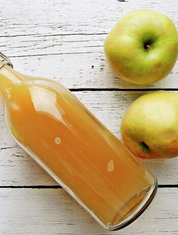 Яблочный уксус – производство яблочного уксуса в домашних условиях