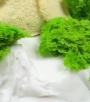 Съедобный мох для декора торта или кулича