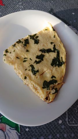 Омлет с зеленью – пошаговый рецепт