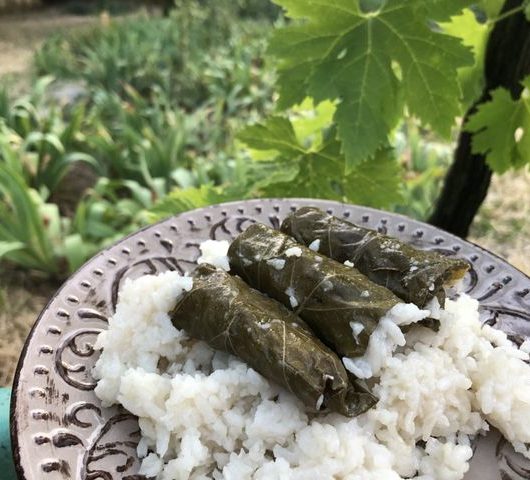Голубцы в виноградных листьях под рисом – пошаговый рецепт