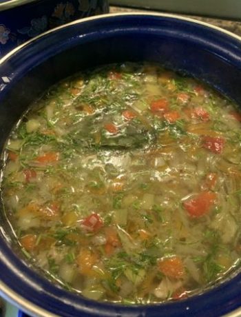 Легкий овощной суп на курином бульоне – пошаговый рецепт