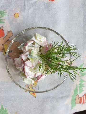 Салат из первых летних овощей со сметаной – пошаговый рецепт