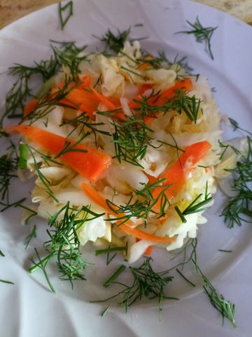 Витаминный салат из свежих овощей с уксусом – пошаговый рецепт