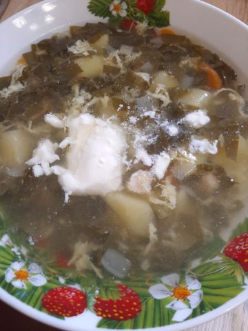 Щавелевый суп со свининой и овощами – пошаговый рецепт