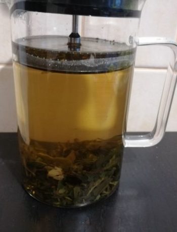 Чай с мелиссой – пошаговый рецепт