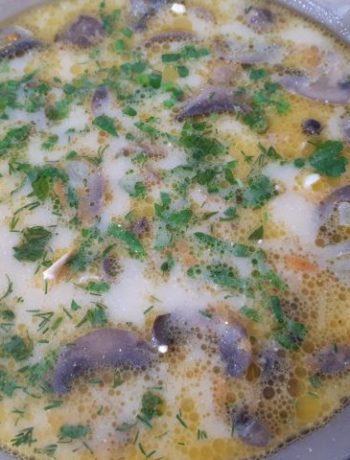 Сырный суп с грибами и курочкой – пошаговый рецепт