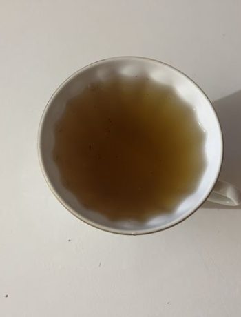 Горячий сладкий напиток из тархуна – пошаговый рецепт