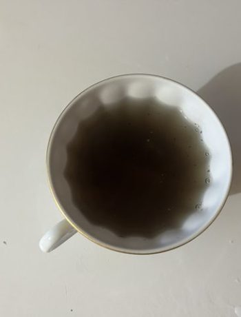 Заварной домашний зеленый чай со смородиной – пошаговый рецепт